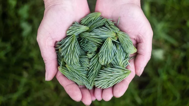 Phân tích y khoa hình ảnh Những bài tập vận động tốt cho người bị bệnh viêm xương khớp